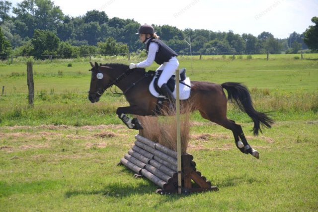 reitertag 2013 253